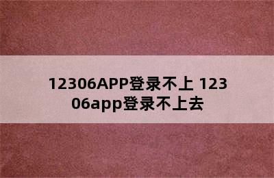 12306APP登录不上 12306app登录不上去